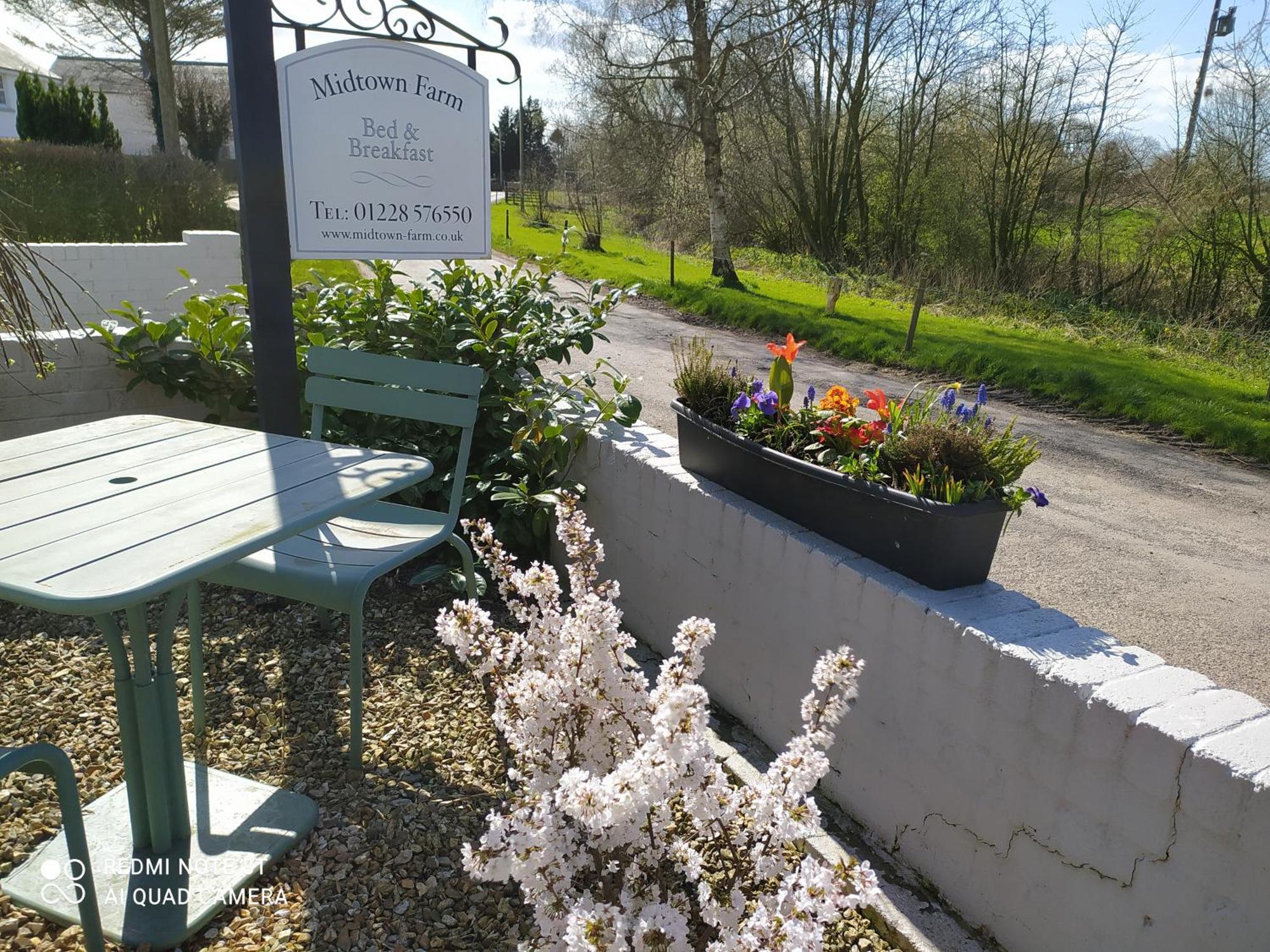 Midtown Farm Bed & Breakfast Easton  エクステリア 写真