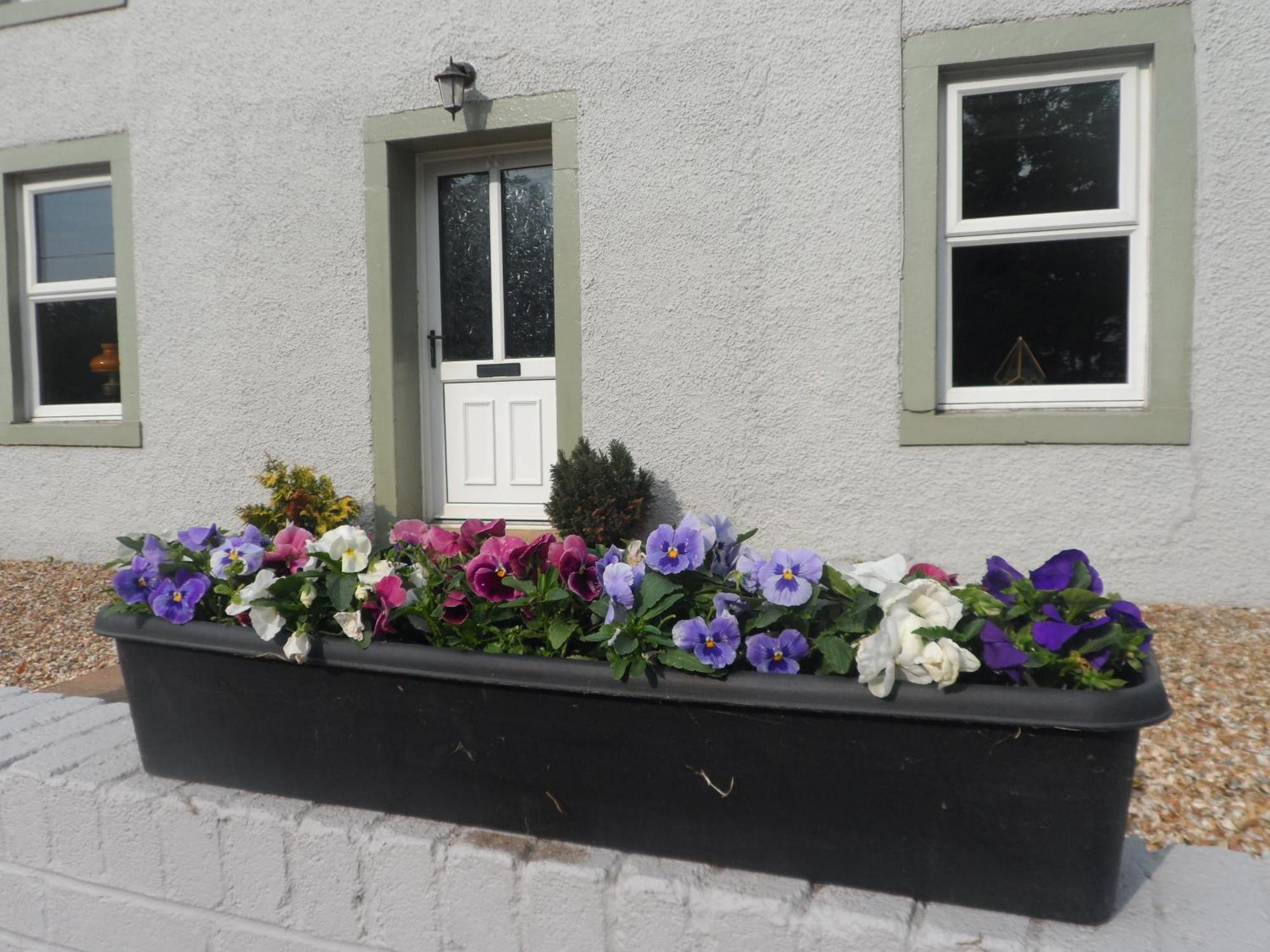 Midtown Farm Bed & Breakfast Easton  エクステリア 写真